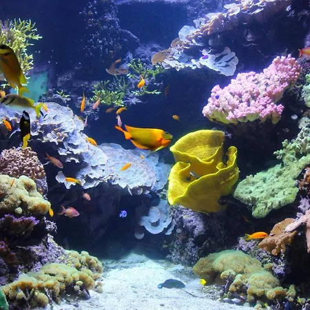 L'oasis Marin Lumineux Et Cosy A Deux Pas Du Vieux Marche Dans L'hyper Centre De Avec Tv Et Wifi Apartmán La Rochelle (Charente-Maritime)